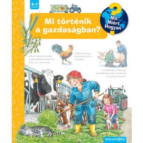 Andrea Erne: Mi történik a gazdaságban?