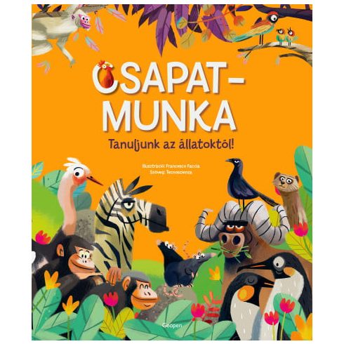 Csapatmunka