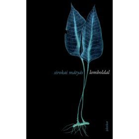 Sirokai Mátyás: Lomboldal