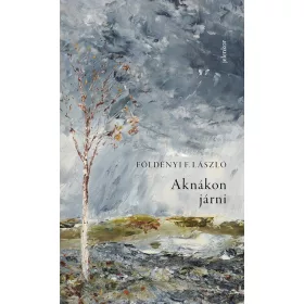 Földényi F. László: Aknákon járni