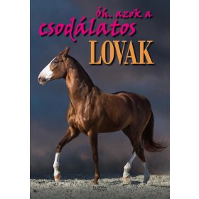 BERNÁTH ISTVÁN: ÓH, AZOK A CSODÁLATOS LOVAK