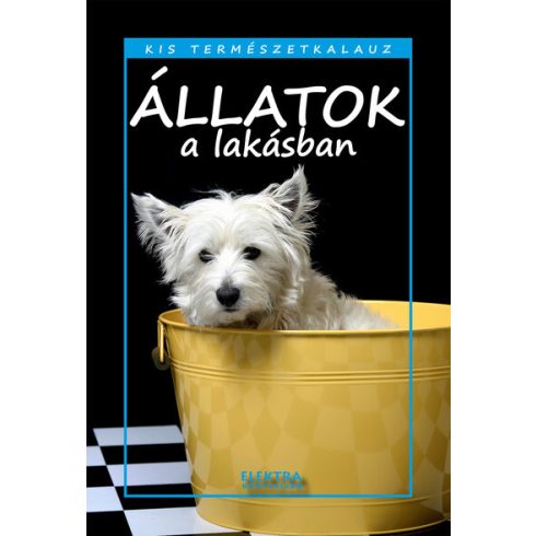 Bernáth István: Állatok a lakásban