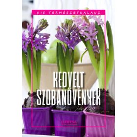   Bernáth István: Kedvelt szobanövények - Kis természetkalauz