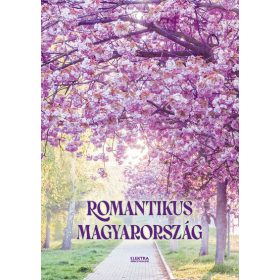 Bernáth István: Romantikus Magyarország