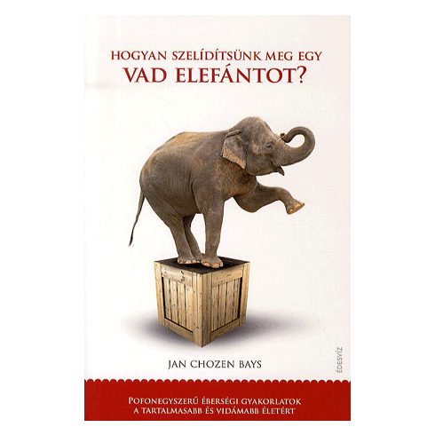 Jan Chozen Bays: Hogyan szelídítsünk meg egy vad elefántot?