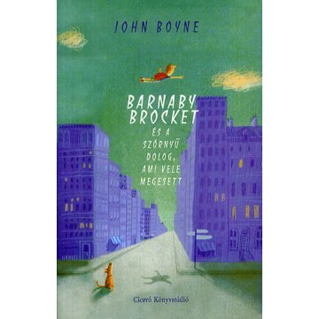   John Boyne: Barnaby Brocket és a szörnyű dolog, ami vele megesett