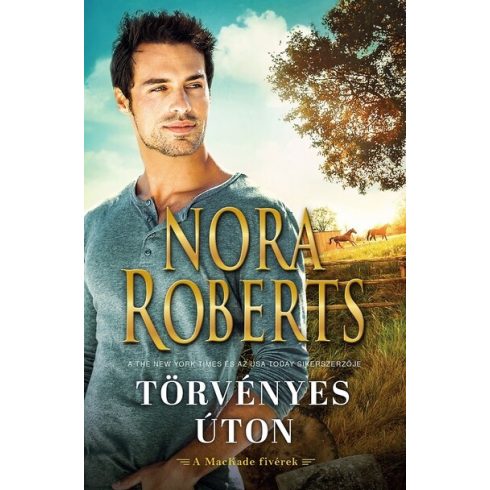 Nora Roberts: Törvényes úton