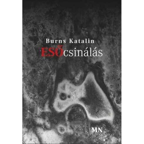 Burns Katalin: Esőcsinálás