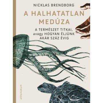 Nicklas Brendborg: A halhatatlan medúza