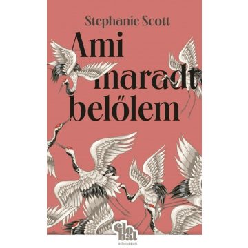 Stephanie Scott: Ami maradt belőlem