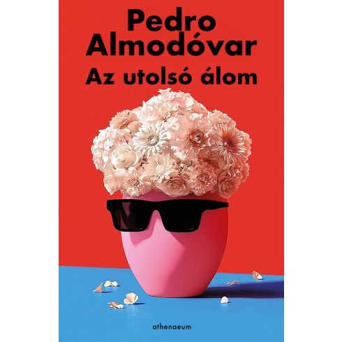 Pedro Almodóvar: Az utolsó álom