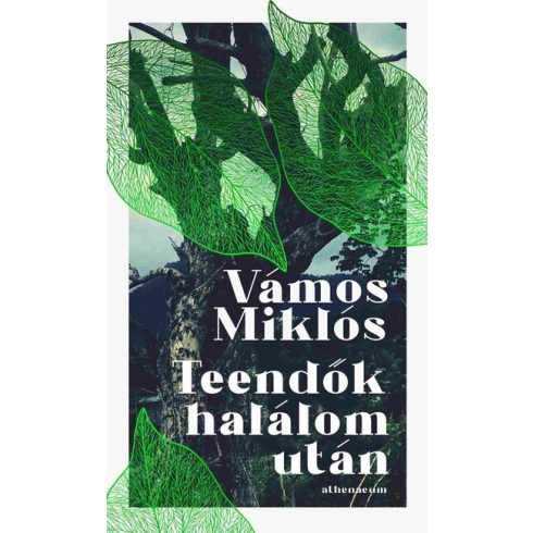 Vámos Miklós: Teendők halálom után