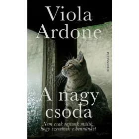 Viola Ardone: A nagy csoda