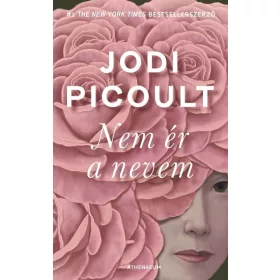 Jodi Picoult: Nem ér a nevem
