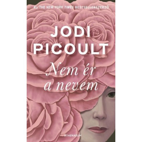 Jodi Picoult: Nem ér a nevem