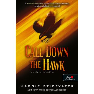 Maggie Stiefvater: Call Down the Hawk - A sólyom Nyomában