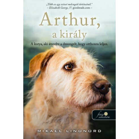 Mikael Lindnord: Arthur, akirály - a kutya, aki átszelte a dzsungelt, hogy otthonra leljen
