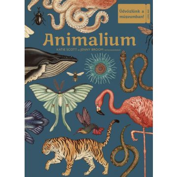 Jenny Broom: Animalium –  Üdvözlünk a múzeumban!