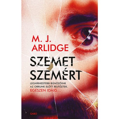 M. J. Arlidge: Szemet szemért