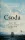 Michael Calvin: Csoda - Magyar fiúk, akik megmenekültek a gázkamrából