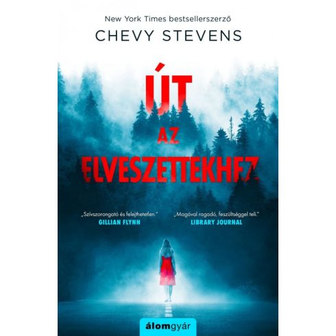 Chevy Stevens: Út az elveszettekhez