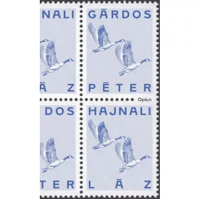 Gárdos Péter: Hajnali láz