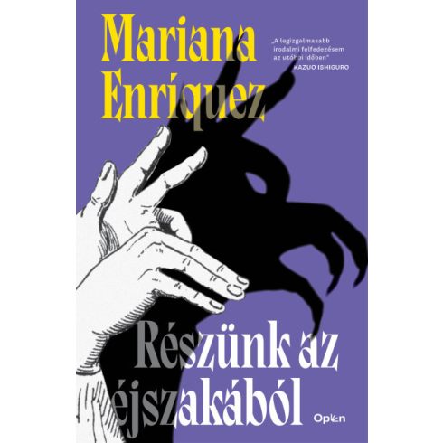 Mariana Enríquez: Részünk az éjszakából