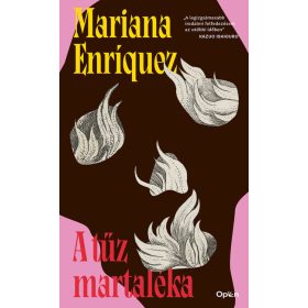   Mariana Enríquez: A tűz martaléka (sérült, szépséghibás)