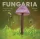 Molnár Ákos: Fungaria - Magyarország gombavilága