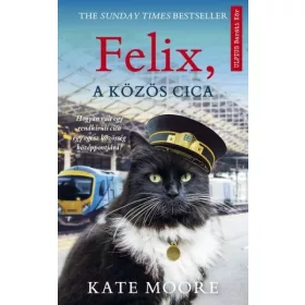KAte: Felix, a közös cica
