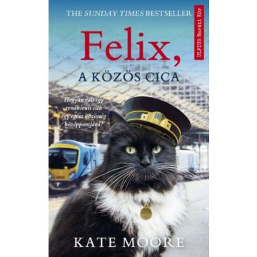 KAte: Felix, a közös cica