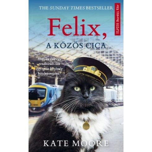 Előrendelhető: KAte: Felix, a közös cica