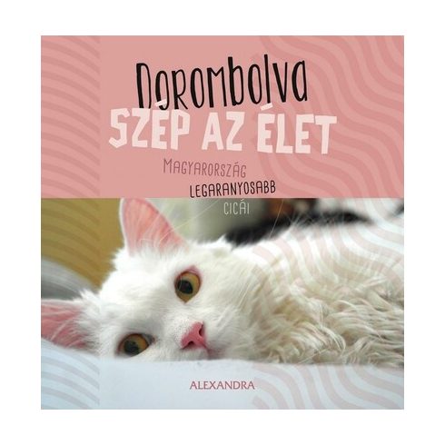 : Dorombolva szép az élet - Magyarország legaranyosabb cicái