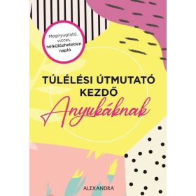 Amy Ransom: Túlélési útmutató kezdő anyukáknak