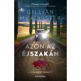   Gillian McAllister: Azon az éjszakán - A családért bármit?