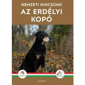   Magyar Erdélyi Kopó Klub: Nemzeti kincsünk az erdélyi kopó