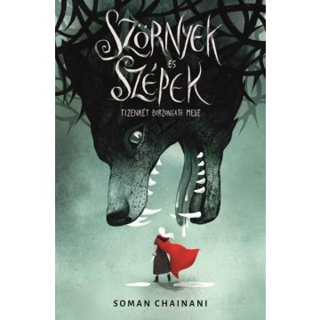 Soman Chainani: Szörnyek és Szépek