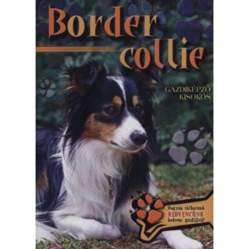 : Border collie - Gazdiképző kisokos