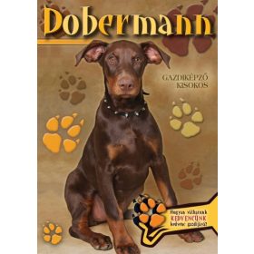 Dobermann - Gazdiképző kisokos