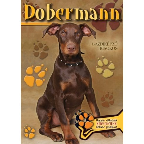: Dobermann - Gazdiképző kisokos