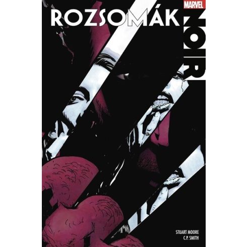 Stuart Moore, C.P. Smith: Rozsomák Noir