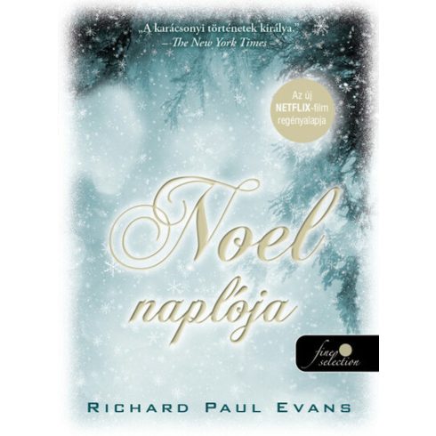 Richard Paul Evans: Noel naplója