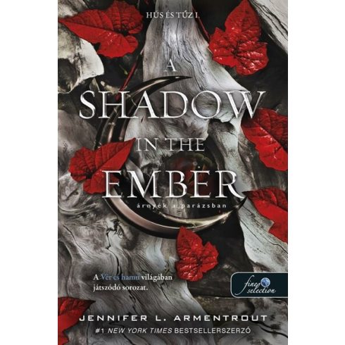 Jennifer Armentrout: A Shadow in the Ember - Árnyék a parázsban (Hús és tűz 1.)