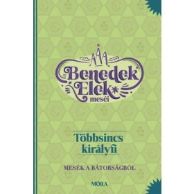Benedek Elek: Többsincs királyfi
