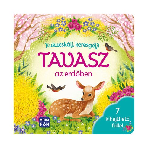 Kukucskálj, keresgélj! - Tavasz az erdőben