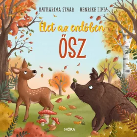 Henrike Lippa: Élet az erdőben - Ősz