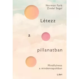   Norman Farb: Létezz a pillanatban - Mindfulness a mindennapokban