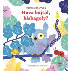 Sam Taplin: Hova bújtál, kisbagoly?