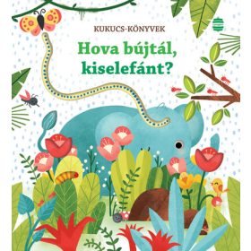 Sam Taplin: Hova bújtál, kiselefánt?