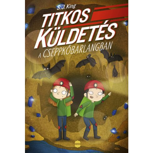 S. J. King: Titkos küldetés a cseppkőbarlangban